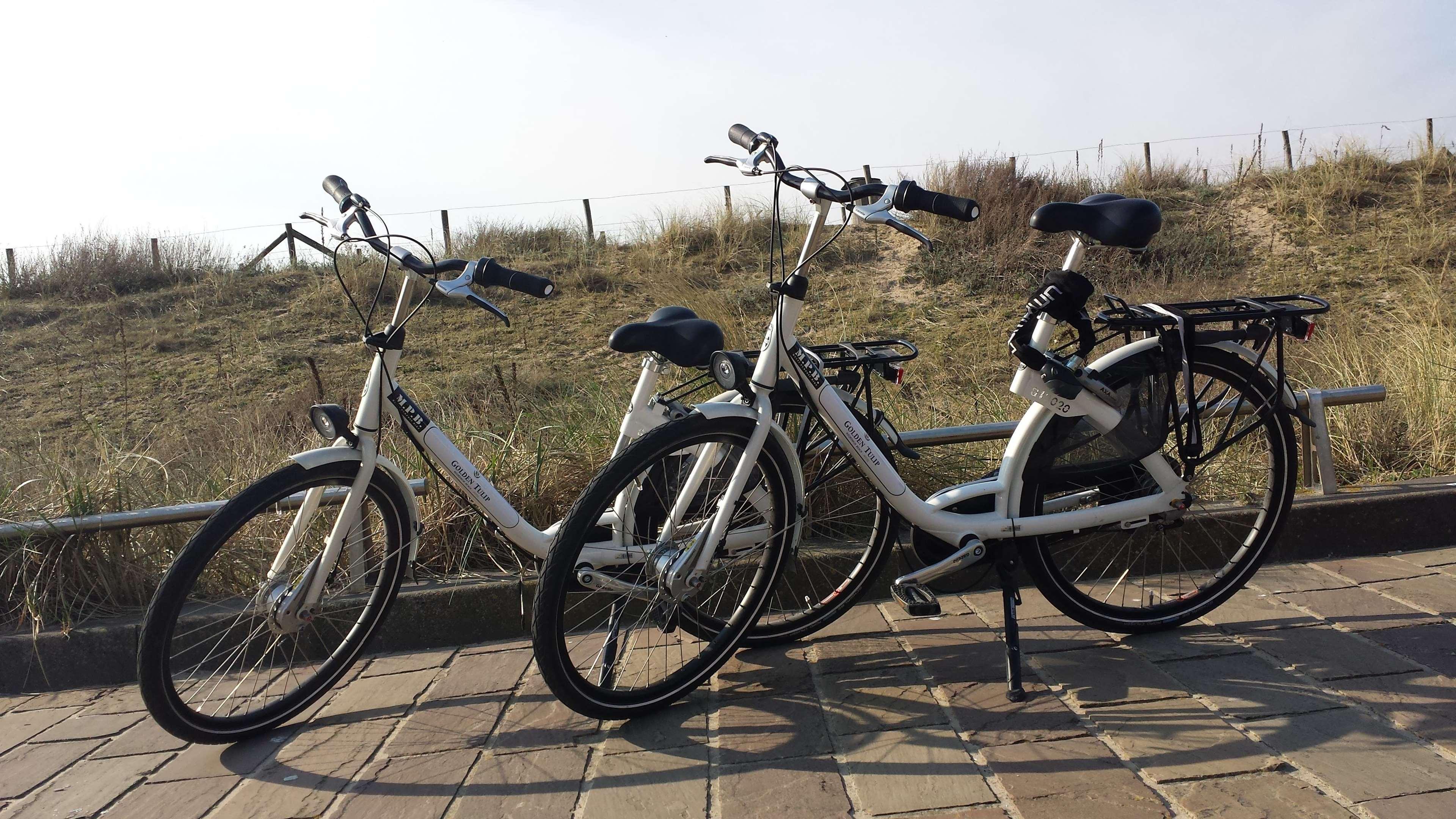 Golden Tulip Binnenkort Two Brothers!